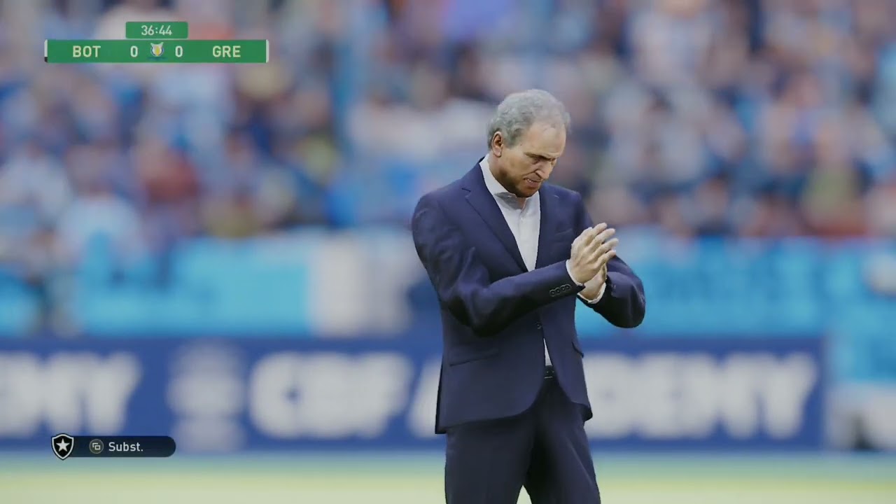 * O Botafogo tenta a segunda vitória seguida, contra o líder do campeonato o Grêmio *