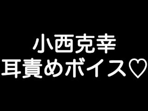 学園恋戦記付属ドラマCD『副会長・文若の黒い小言日記(CV.竹本 英史
