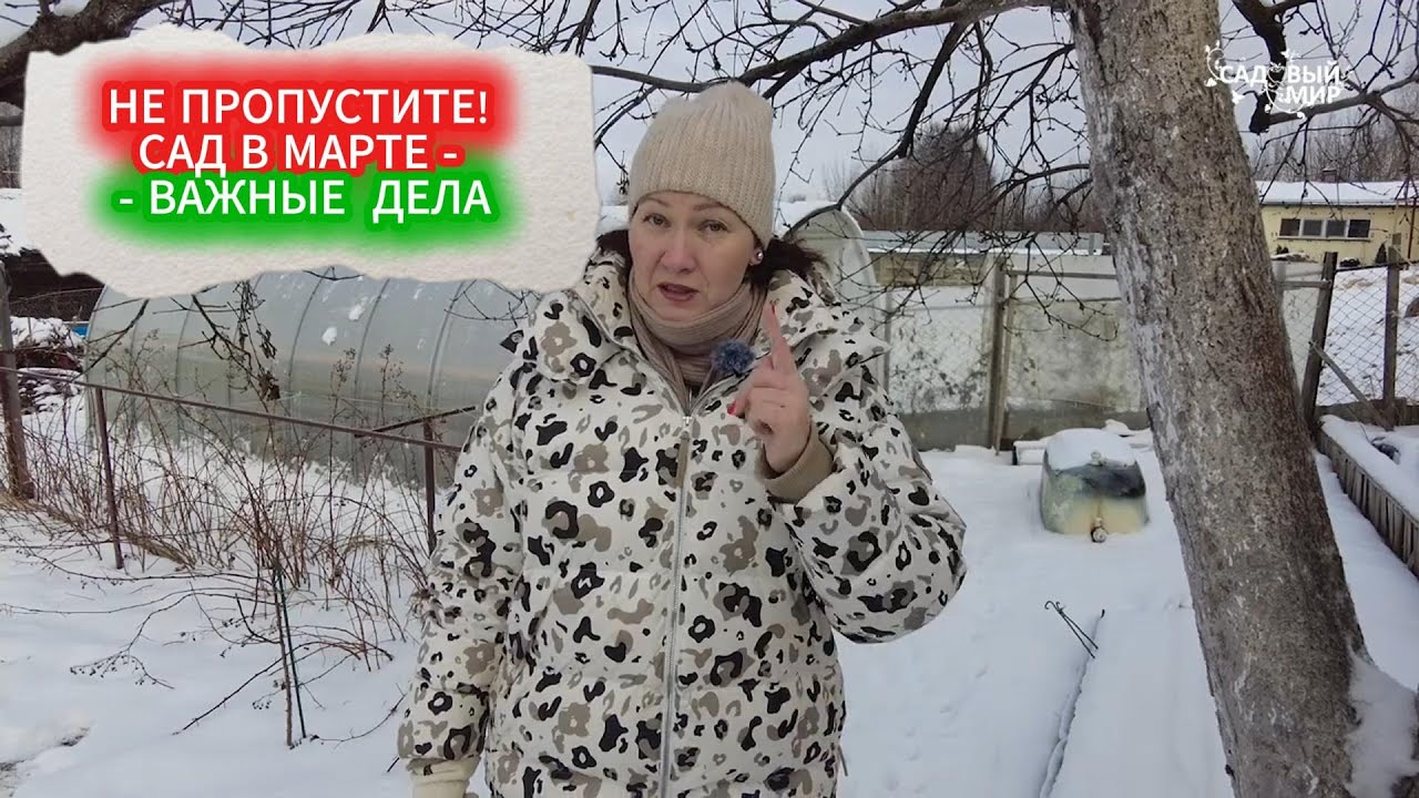 Мартовские заботы в саду и огороде: гибкий план работ в зависимости от погоды