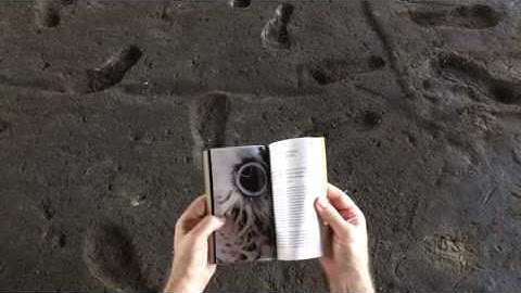 Are we Human? Notes on an Archaeology of Design* by Beatriz Colomina and Mark Wigley