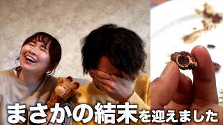 【ご報告】アフリカで食べた銃弾の件について