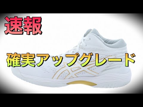 着用レビュー】 asics GEL HOOP V14 アシックス ゲルフープ 【バッシュ
