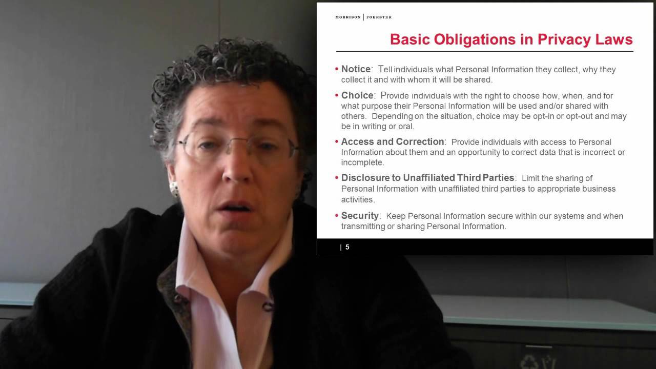 Global Privacy and Data Security Issues: Some Basics