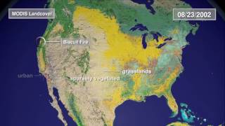 Multisensor Fire Observations
