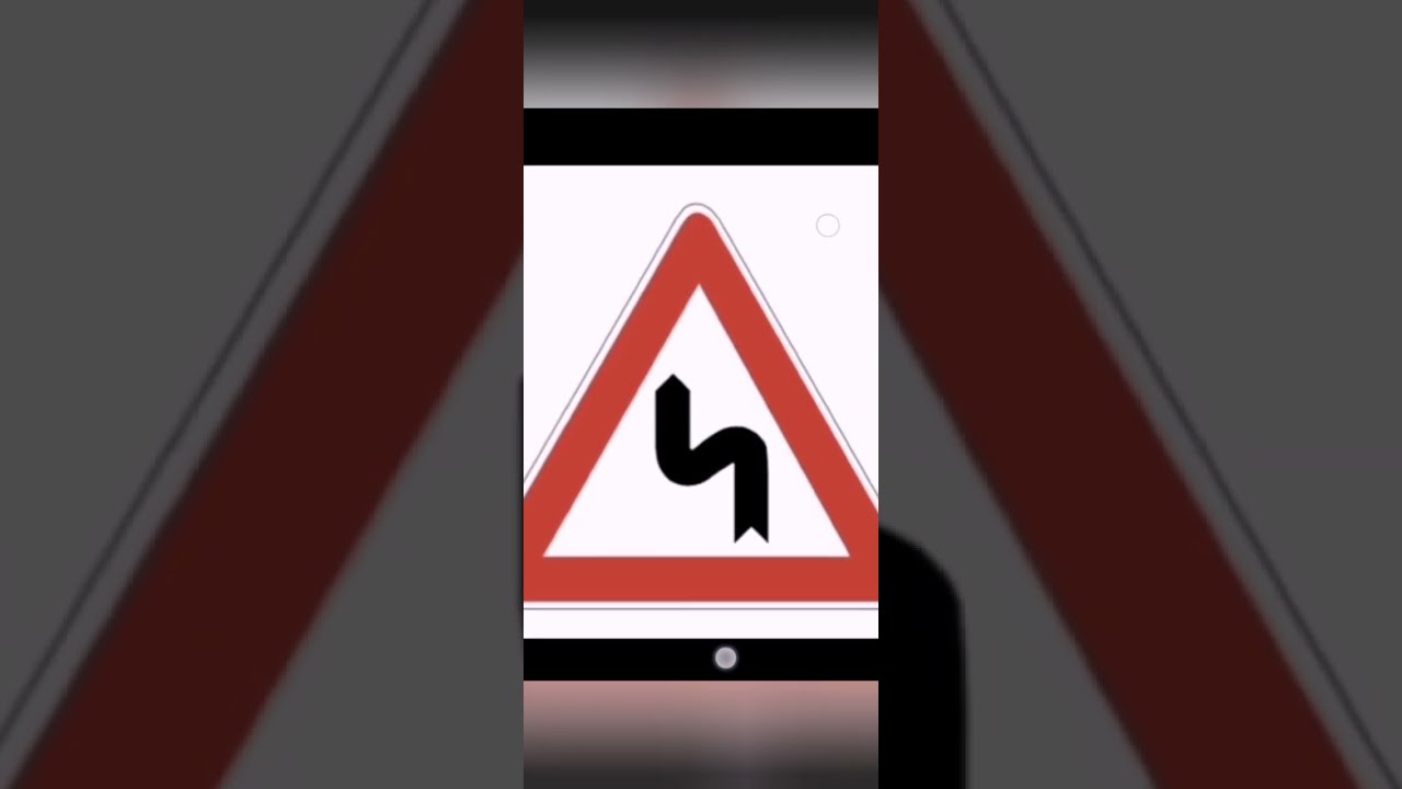 IL SIGNALI DI PERICOLO (DANGER SIGNS )