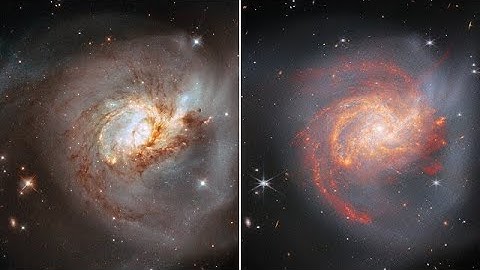 Hubble and Webb