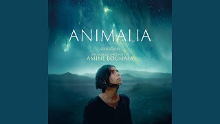 Animalia Main Title 2