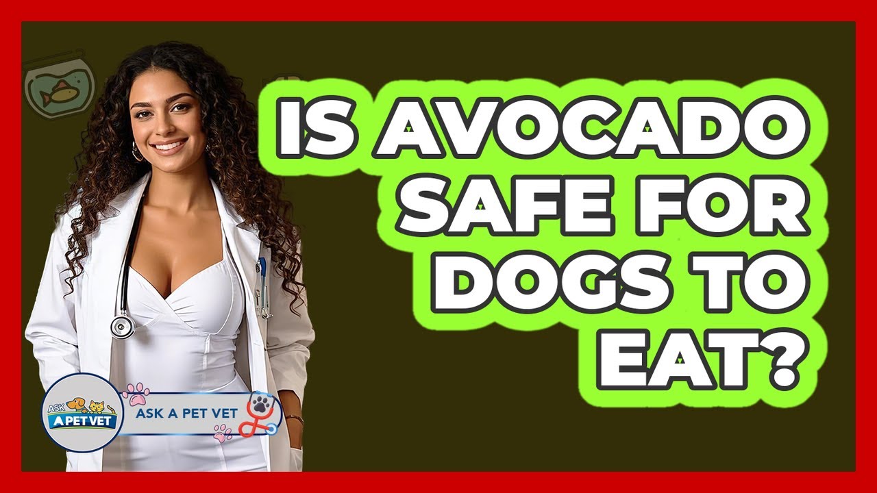 Is Avocado Safe For Dogs To Eat? - Ask A Pet Vet