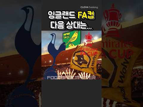 FA컵에서 토트넘, 울버햄튼, 노리치시티의 다음 상대 #shorts