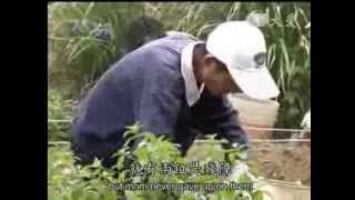 20140106《人間菩薩》感恩的幸福--台北永和:林三堂 (2493)
