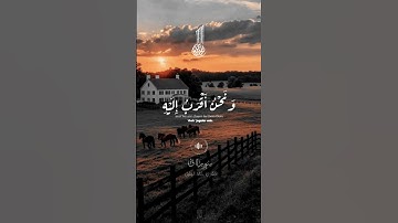 سورة ق .. الشيخ خالد الجليل ♥️