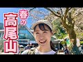 【登山Vlog】春到来🌸ポカポカ日和の高尾山に登ってきた！