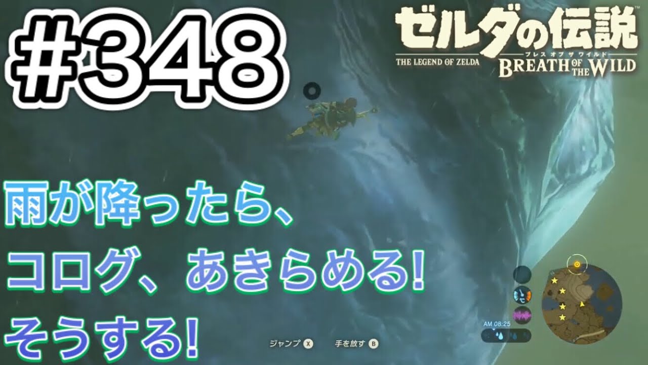 348 崖のコログで 雨はやめて ゼルダの伝説 ブレスオブザワイルド Youtube