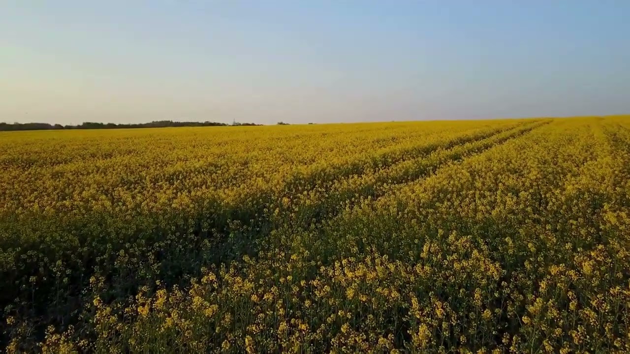 Relaxing music to start the day positively