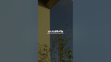اجر لي ولك🌿بصوت عبدالرحمن مسعد 🌿 سورة العنكبوت كامله 🌿