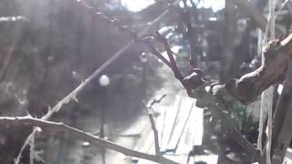 Short edit spring flash