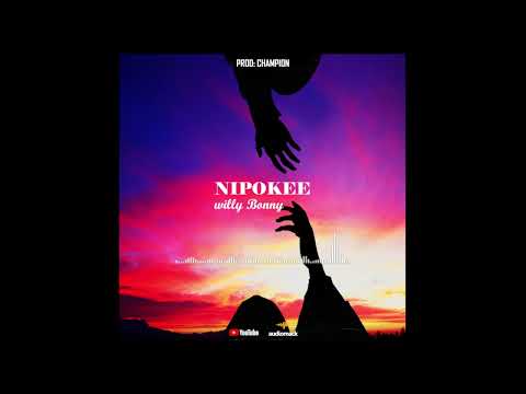Williams NIPOKEE Official Music Audio 