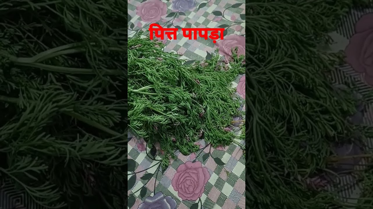 Shahatra पित्त पापड़ा for Benefits skin disease.