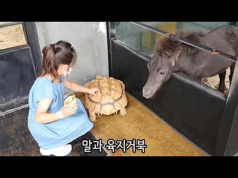 여름방학 마지막날 일상 브이로그 VLOG 청주명암저수지, 애니멀빌리지, 성안길 인생네컷!!