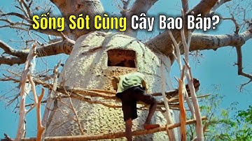 Liệu Có Thể Sống Sót Cùng Cây Bao Báp Ở Sa Mạc Madagascar