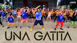 Una Gatita  Bellakath  Beedance  Buena Vibra Zumba