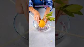 😳 🌱 5 Smart Gardening Hacks You Should Know! 🤯 #shorts #gardening #viral