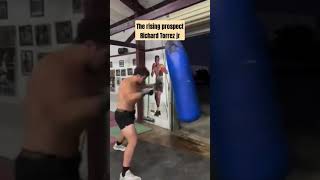 Richard Torrez Jr is he the future of heavyweight boxing? #shorts #richardTorrezJr