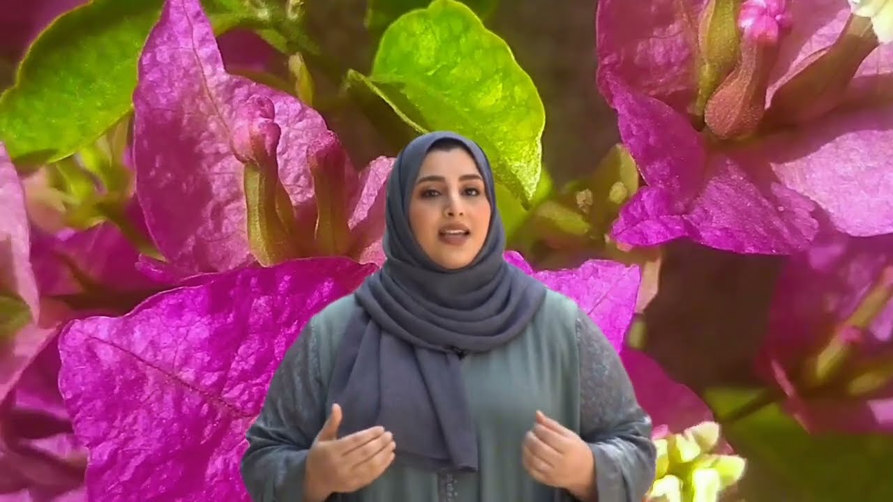 قصتي... في موازين