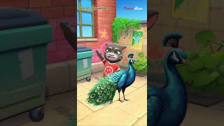 Talking Tom 2025 FAILED PUNCH PEACOCK Gored by FAT BULL || Talking Tom Funny Videos screenshot 5