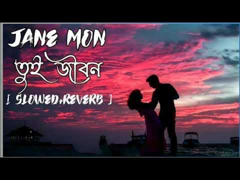 জানে মন তুই জীবন।।jane mon tui jebon।। slow+Reverb।।Bengali song #lofi