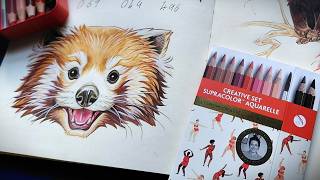 Let’s try Nina Cosfords Supracolor watercolour pencils and draw a Red Panda! 