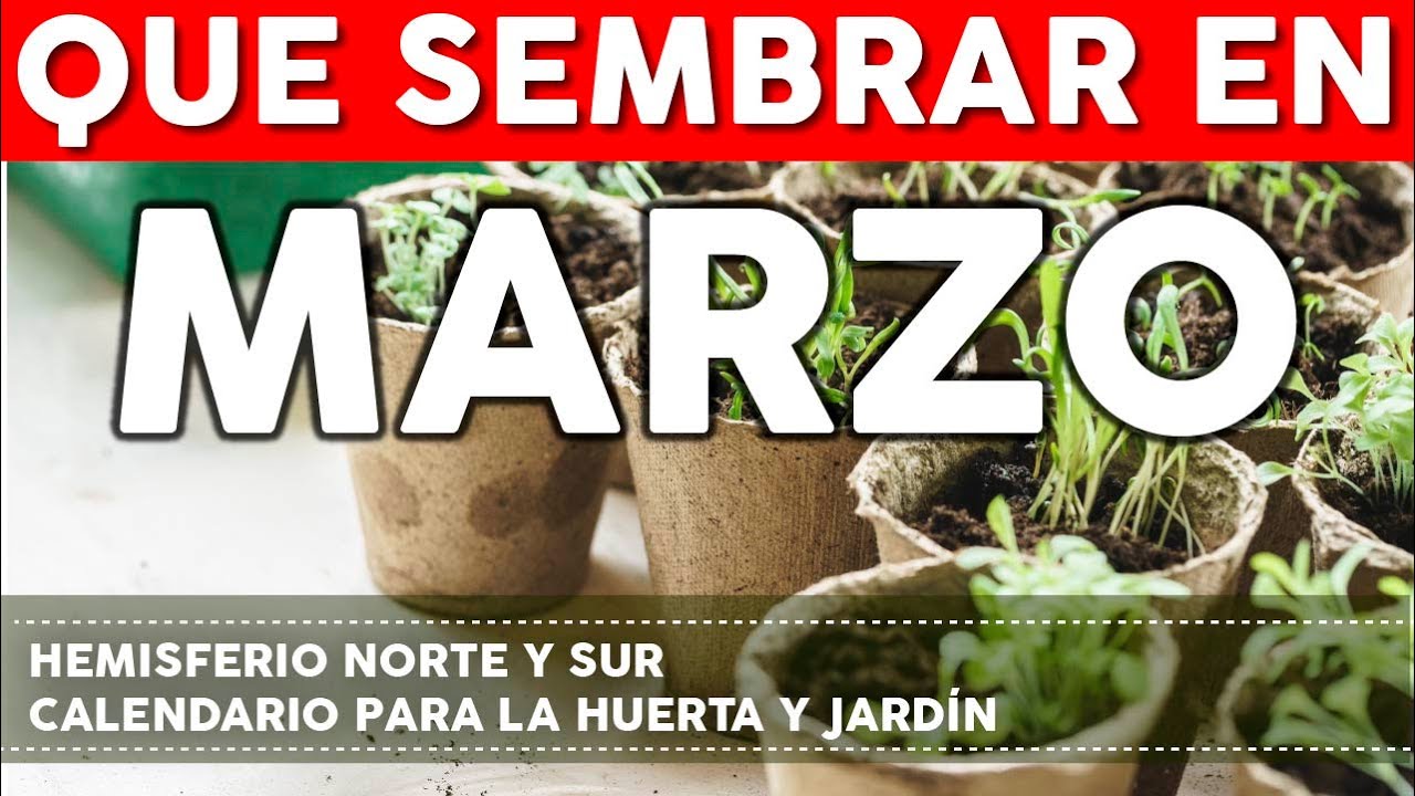 Calendario de Siembra 2023: Que sembrar en MARZO en el Huerto de FIN de Invierno y de FIN de Verano