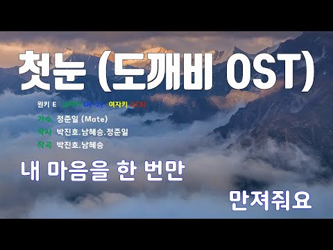 [은성반주기] 첫눈(도깨비OST) - 정준일(Mate) /MR/가사