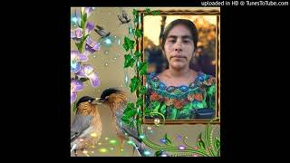 Viene Jesús Solista María Ajqui Tzep