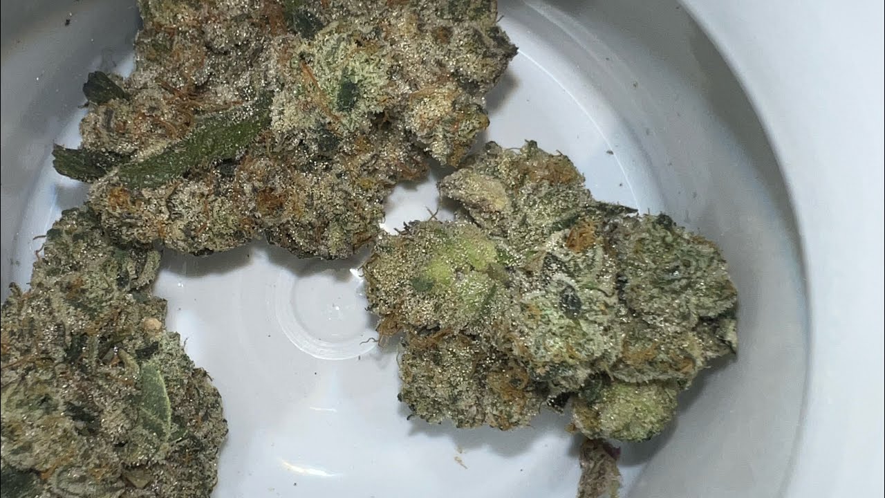 Afternoon delight - 33.6% thc rise dispensary