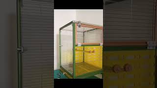 New Parrot Cage Setup | Beautiful Bird Home Tour 🏡#NewCage #ParrotCage #Parrots #Birds