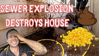 Blocked Drain 448 From Sewer to Ceiling: The Curious Case of Corn Over Walls