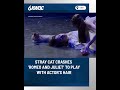 Stray cat steals performance of Romeo and Juliet