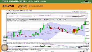 Tree Island Steel (TSL) Breakout Stock Chart