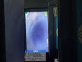 彰化二林正知三街水刀通水管管內攝影0968-939758施先生