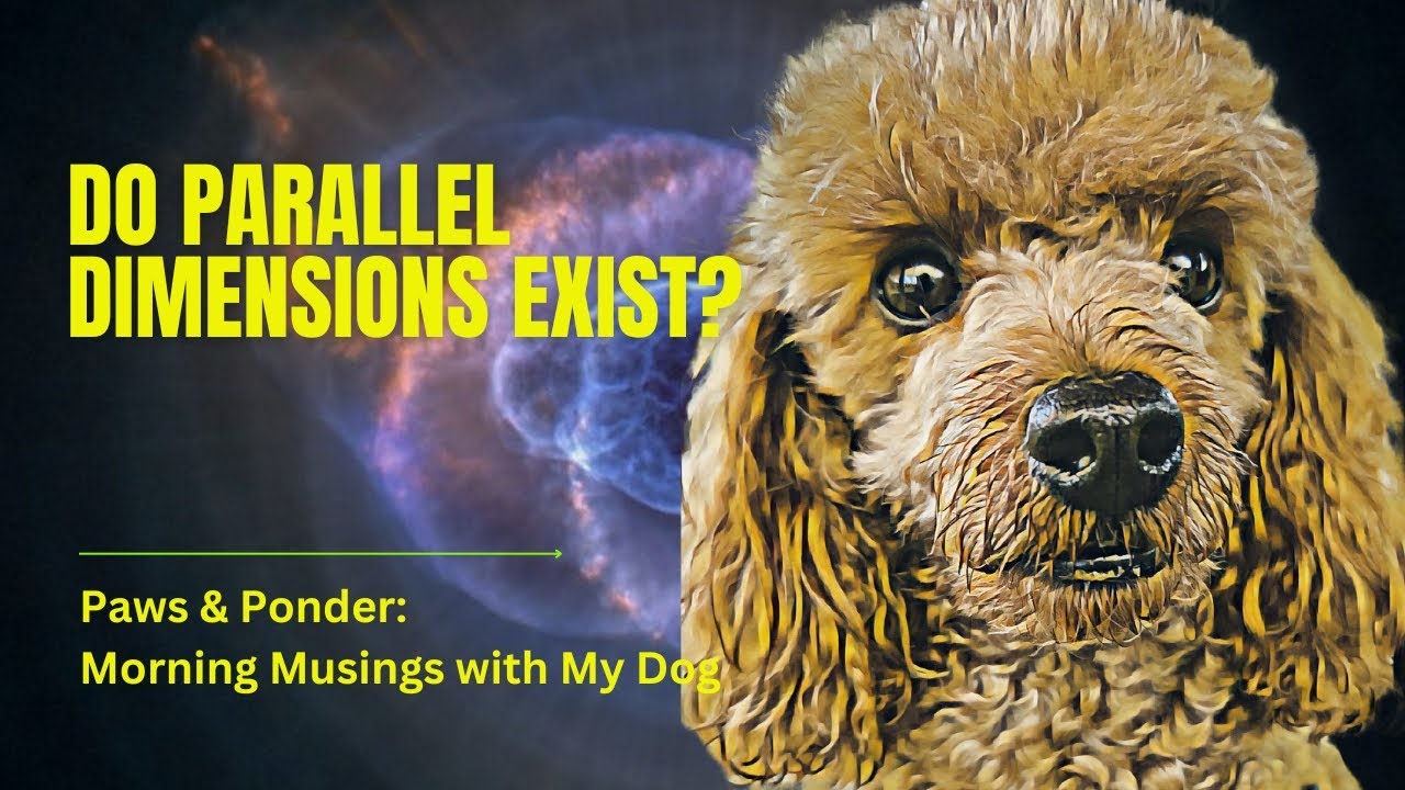 Parallel Dimensions Evidence Do parallel dimensions exist? Let's explore multiverse theories. - YouTube