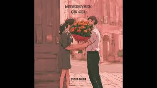 Yusuf Güler - Neredeysen Çık Gel