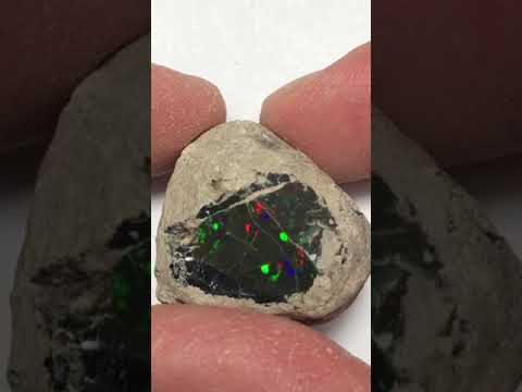 101ct Stayish Mine Ethiopia Black Opal Rough