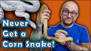 I REFUSE To Get A Corn Snake and YOU Shouldn't Either! Here's Why!