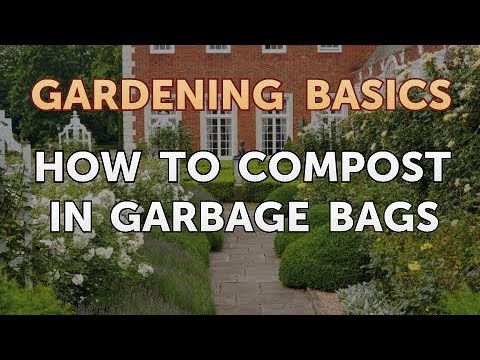 Video: Compost In Bags: How To Spill Compost In Black Garbage Bags? How To Make Quick Compost With Your Own Hands?