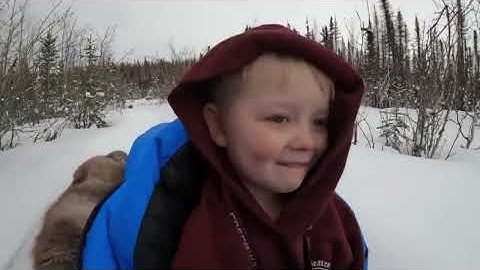 Camping in 16 Winter Bushcraft Shelters