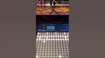 Reliq 🔥Monster Sequencer 👽@ReliqInstruments #reliq #sequencer #matrix