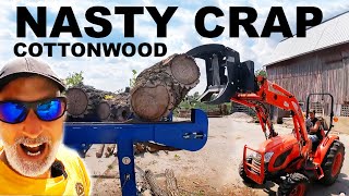 Can we make FIREWOOD out of  NASTY CRAP COTTON WOOD?