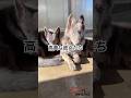 高貴な犬だと一瞬でわかるローズウルフたち(ニジとグニ)
