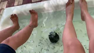 My sister and i First Fish Pedicure Experience! What Actually Happens?! 🐟✨